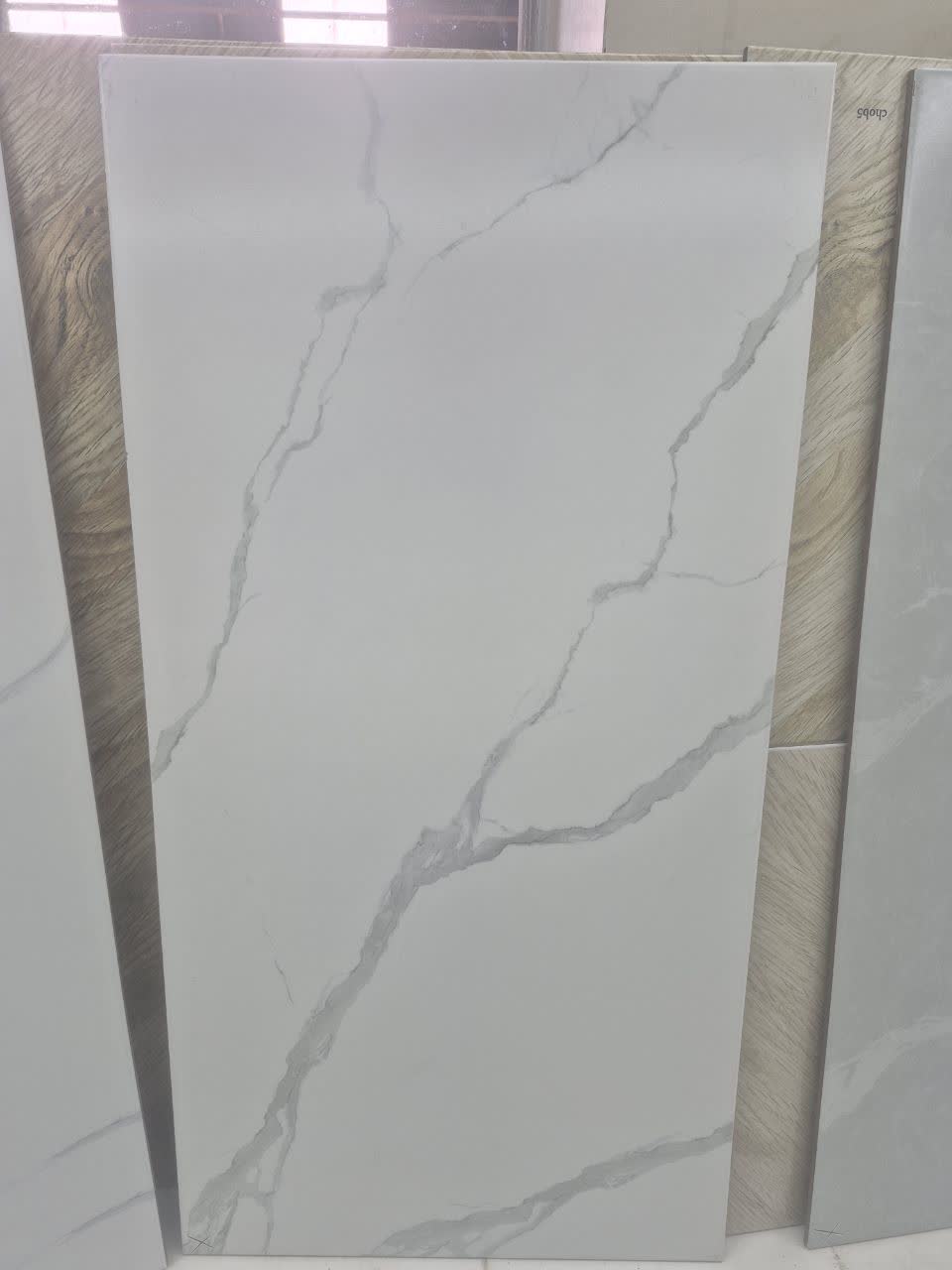 تصویر 2 از کاشی حمام سفید رگه دار 60*120 ترانس
